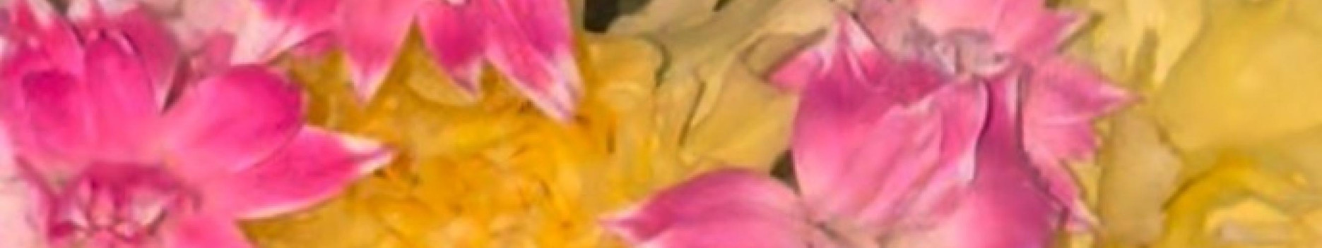 Background Feet Pics Background Feet Pics