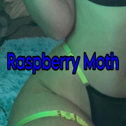 Raspberry Moth