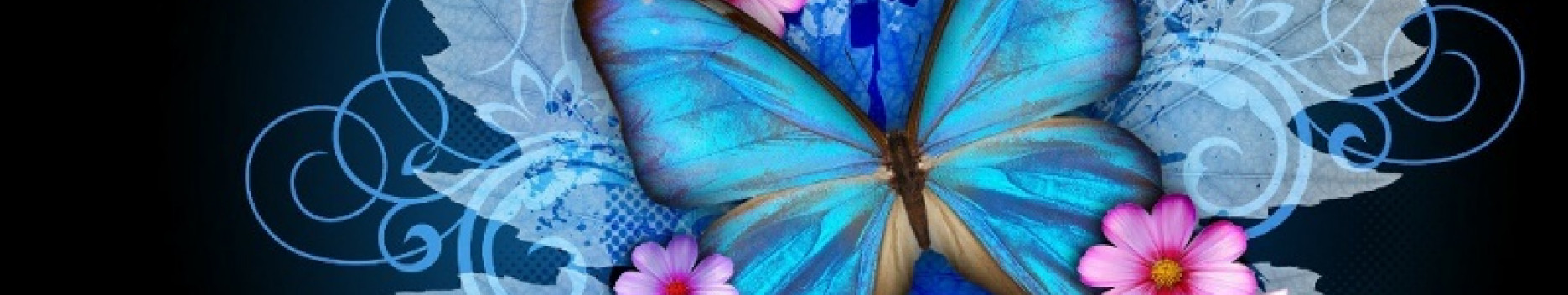 Background Butterfly🦋