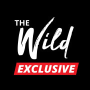 The Wild Exclusive (VIP)