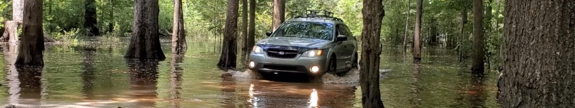 Background Subie Daddy