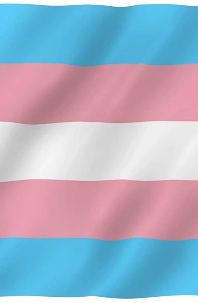 transb0y88