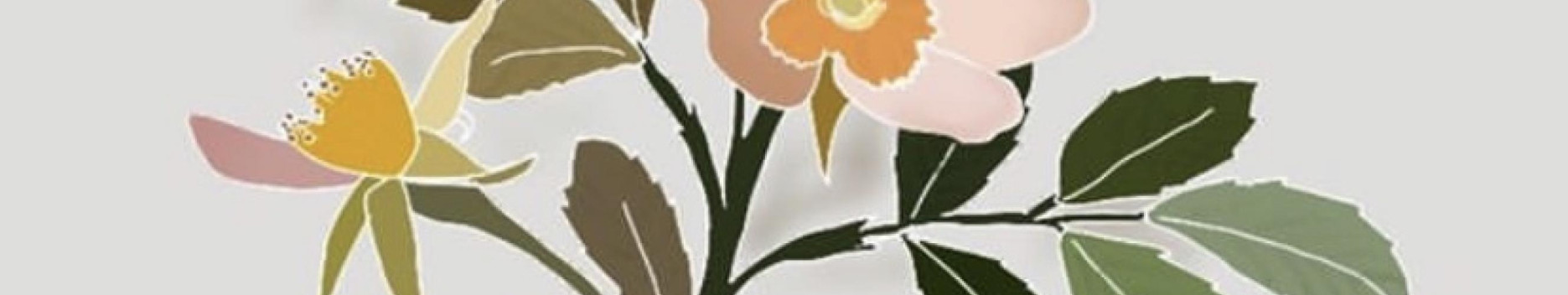 Background Helena Maximoff Background Helena Maximoff