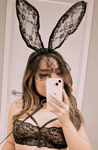 Bunny