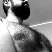 Hairy Teddy 🐻