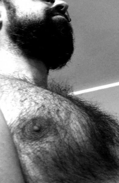 Hairy Teddy 🐻