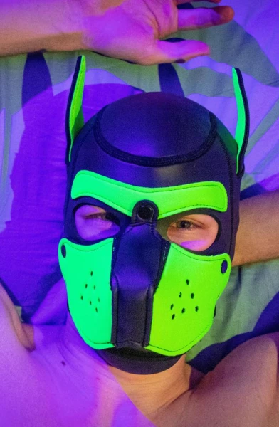 Pup Phil