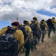 Wildland fire/Physical training daily