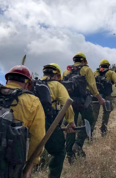 Wildland fire/Physical training daily