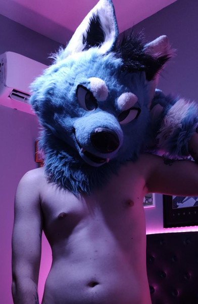 Blue Daddy Wolf