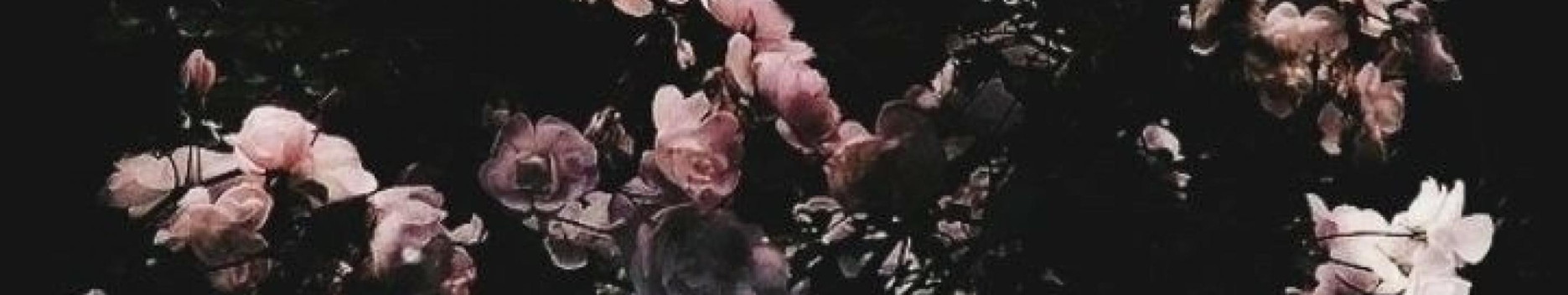 Background Danita Background Danita