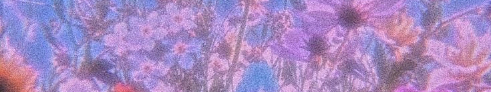 Background jade loves you 🛸 Background jade loves you 🛸
