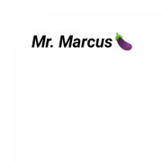 Mr. Marcus