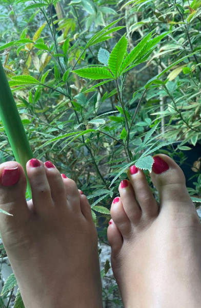 GoldenExoticFeet