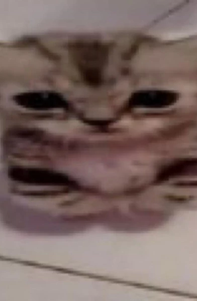 GIJI