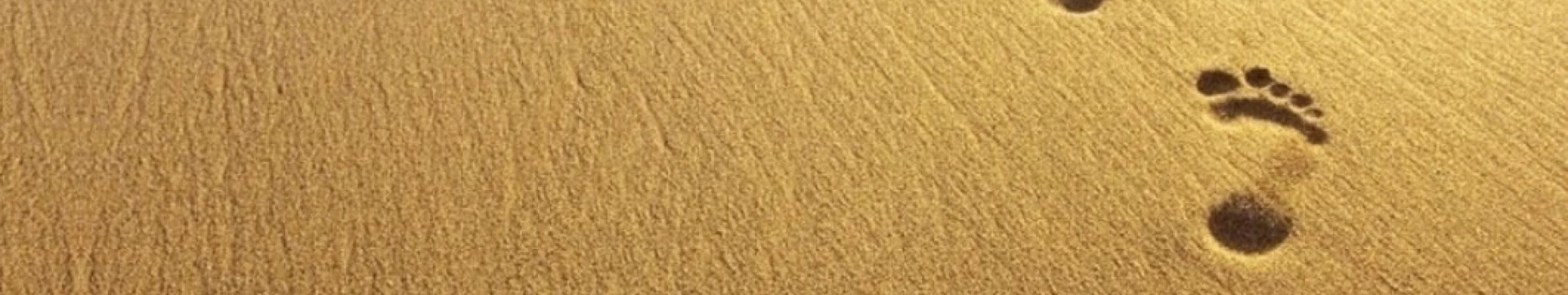 Background meganthev