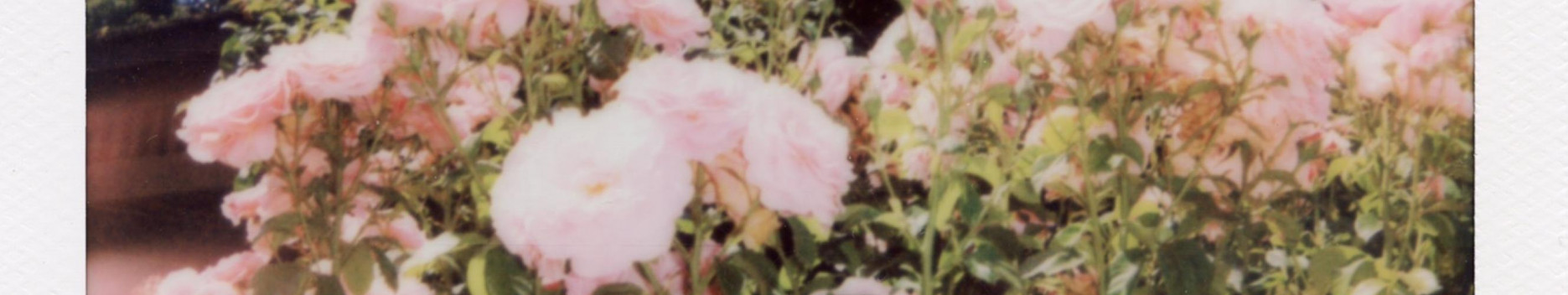 Background &lt;3
