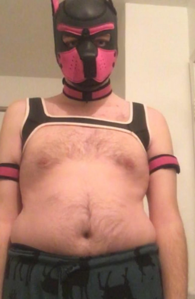 Pup Cobalt