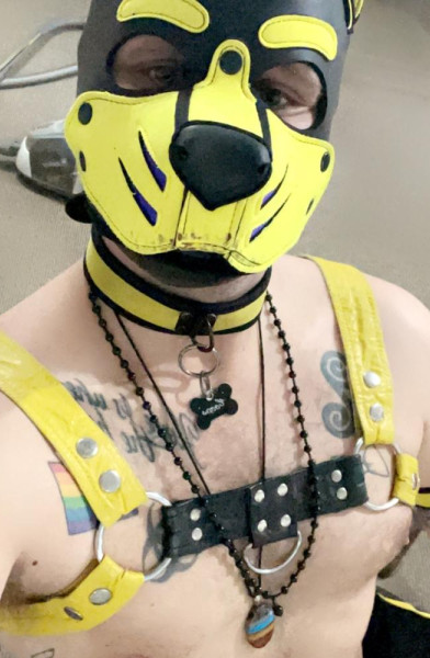 Pup_Coops