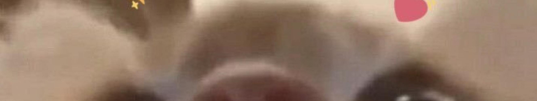 Background El๐ Background El๐