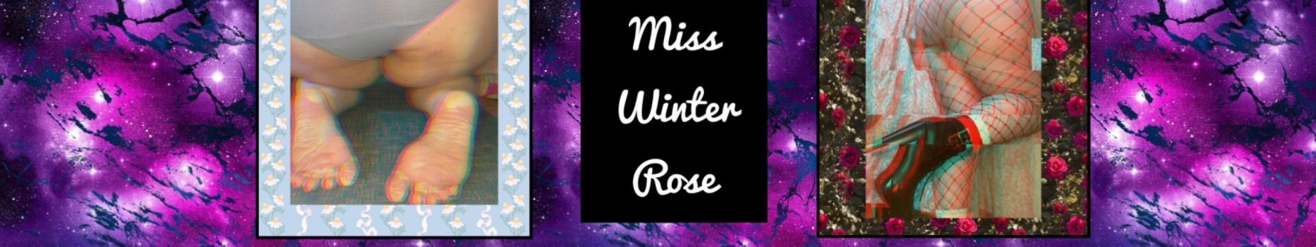 Background Miss Winter Rose