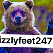 Grizzly Feet