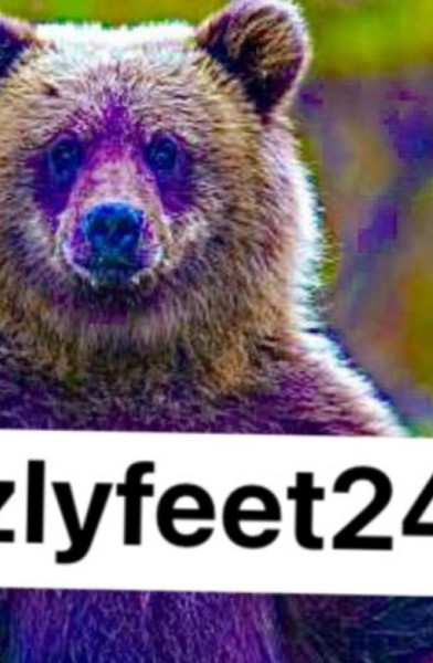 Grizzly Feet