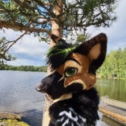 UnzippedShep