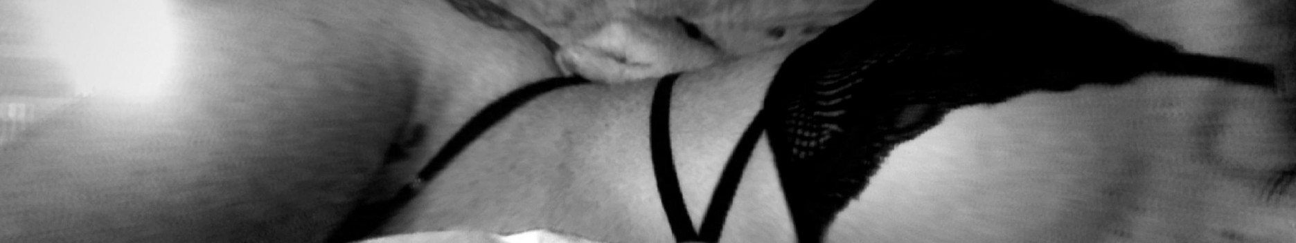 Background Amparo 🔥😈 Daddy’s Sweet Little Angel Background Amparo 🔥😈 Daddy’s Sweet Little Angel