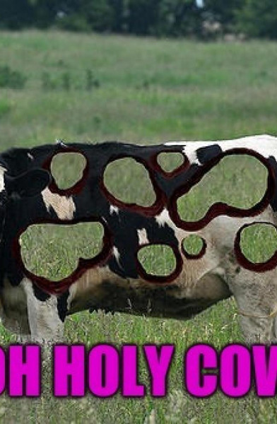 URHOLYCOW