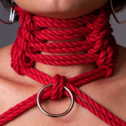 Texas Shibari