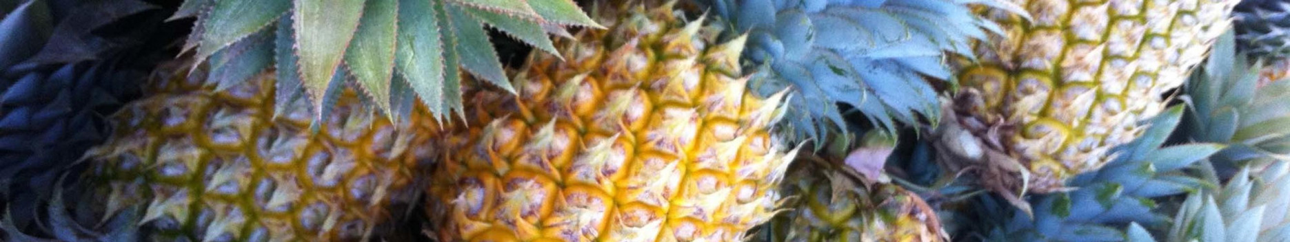 Background Tiny_pineapple