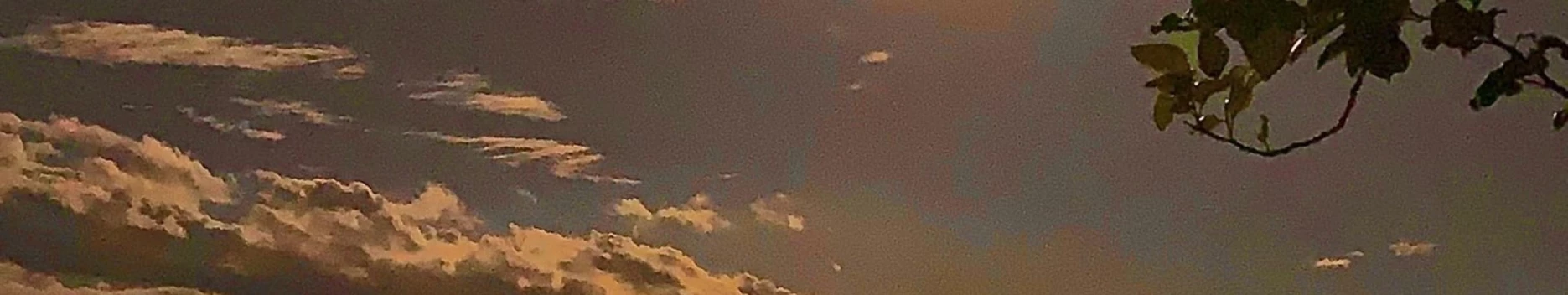 Background PBXDICKSLANGER