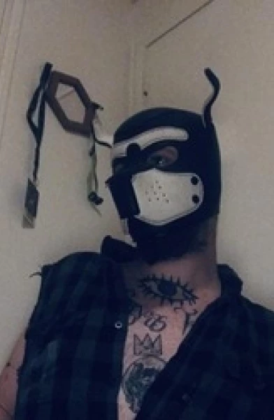 PupStatic