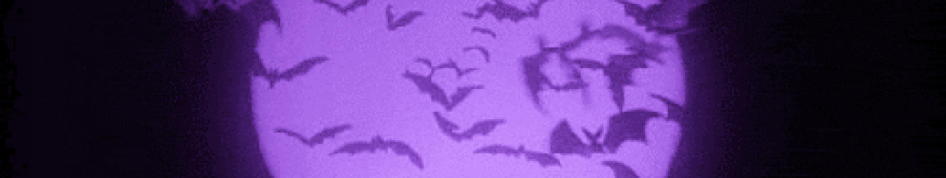 Background Lil Lilac Background Lil Lilac