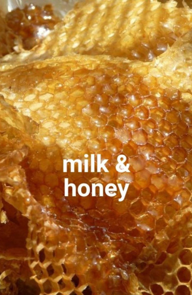 milkandhoney