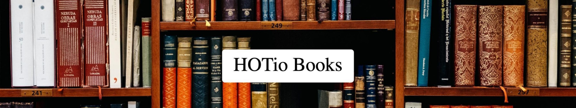 Background HOTio Books