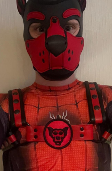 Spidey-Pup