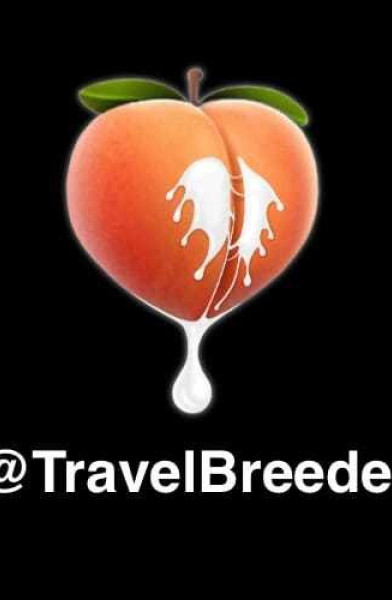 Travel Breeder