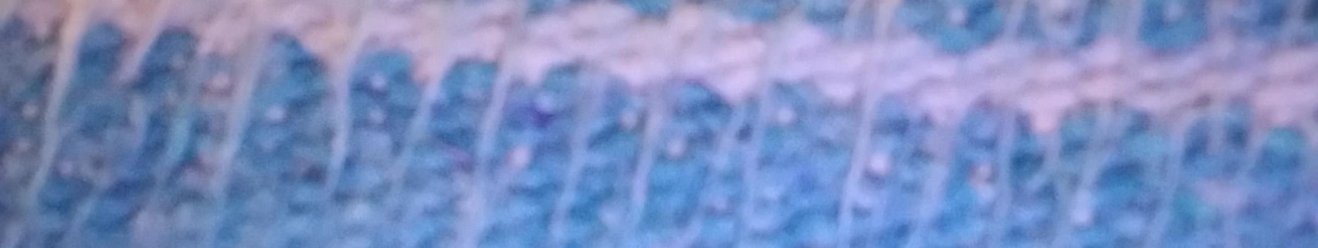 Background Pat M Background Pat M