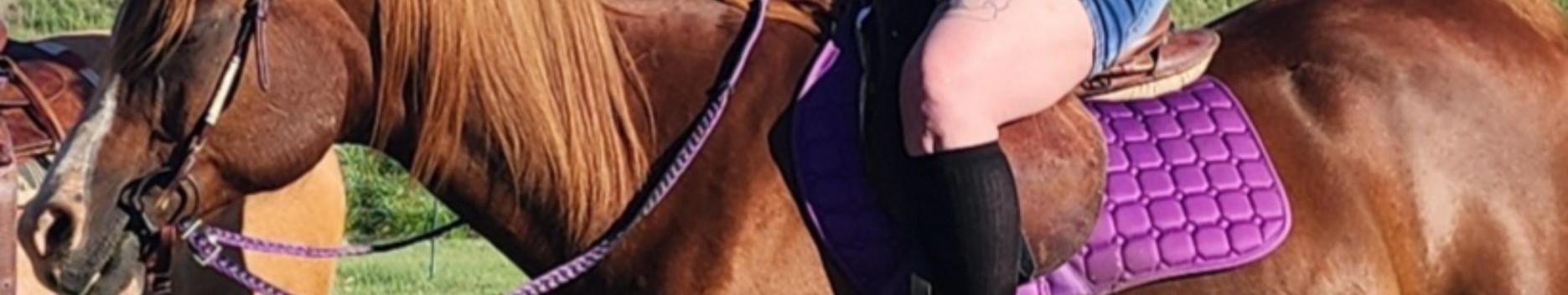 Background Kelsea That Horse Girl