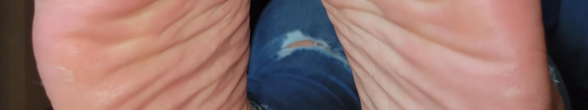 Background Hazelhottoes Background Hazelhottoes