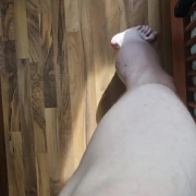 NakedIrishGuy NakedIrishGuy