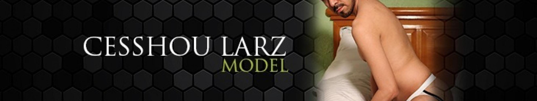 Background Cesshou Larz Model