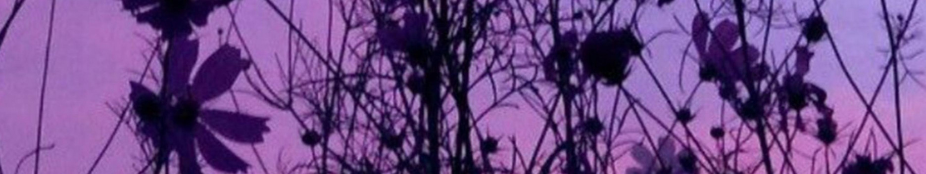 Background πGemma Raineπ¦ Background πGemma Raineπ¦