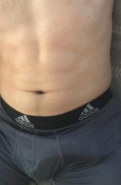 The Daily Bulge