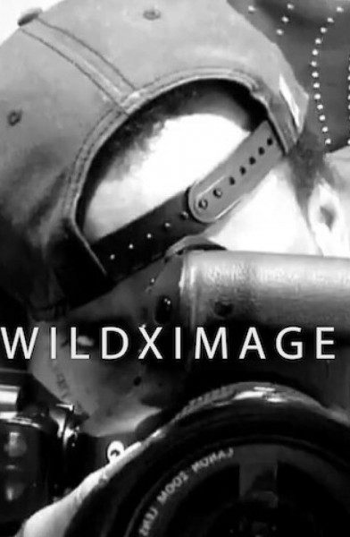 Wildximage