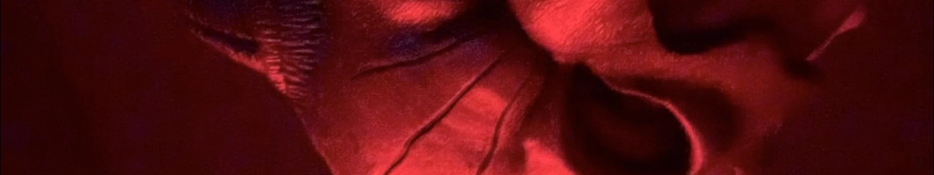 Background Venus In Furs Background Venus In Furs