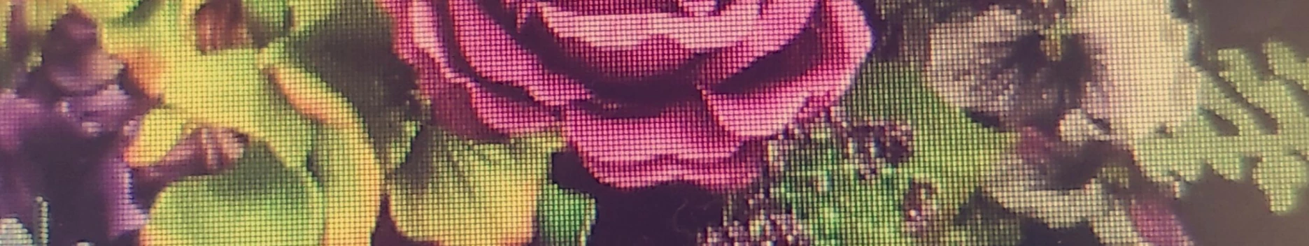 Background Katherine M Background Katherine M