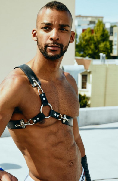 Yogi Trainer
